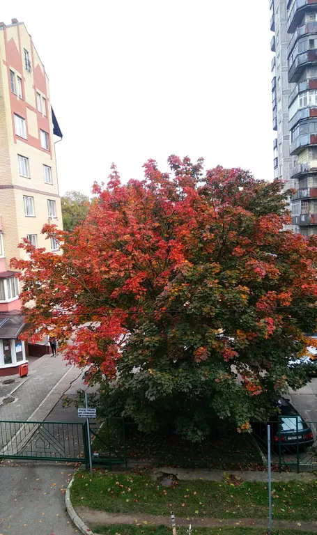 Квартира Квартира Философский дворик — Калининград