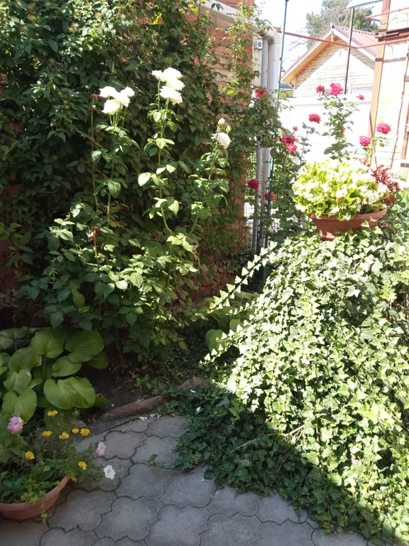 Уютная квартира-студия в центре города