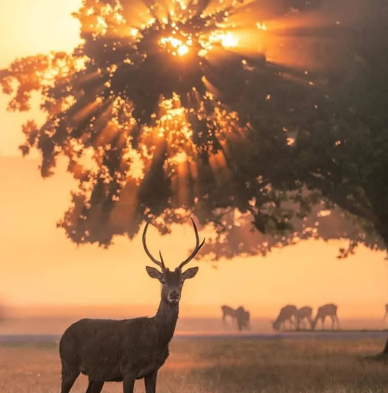 Солнечный домик в беловежской пуще без соседей, баня, озера, экскурсии