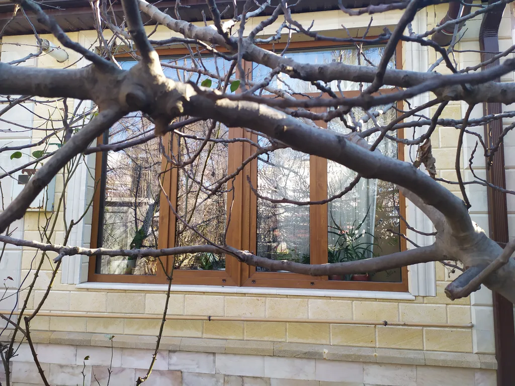 Коттедж Дом утопающий в зелени и очень уютный — Геленджик