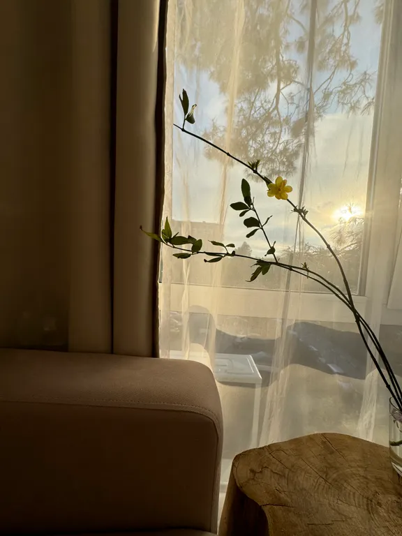 Квартира Квартира Студия с видом на сосну в бамбуковой роще — Сириус