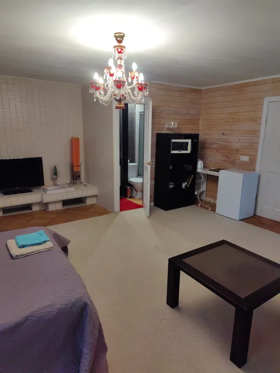 Апартамент с отдельным входом