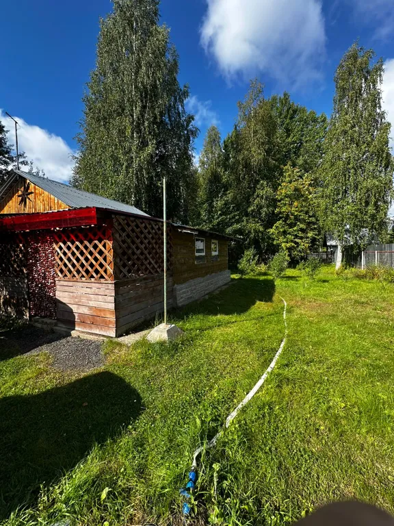 Коттедж Домик в лесу с баней — Лодейное Поле