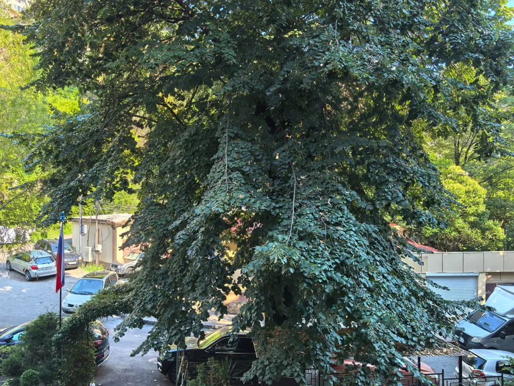 Квартира у моря для большой семьи.