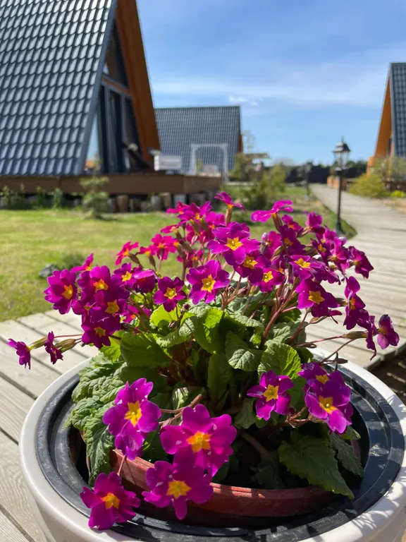 Дизайнерский коттедж Зима