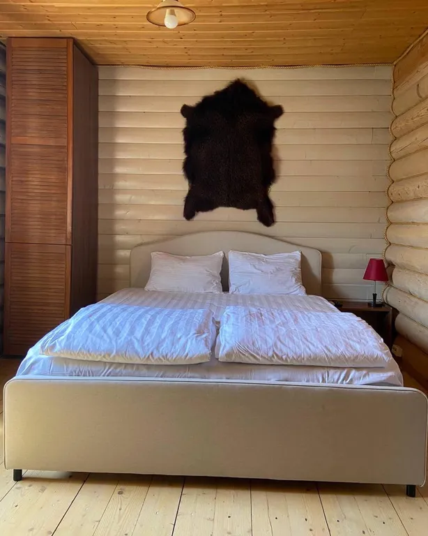 Дом из сруба с баней и бассейном