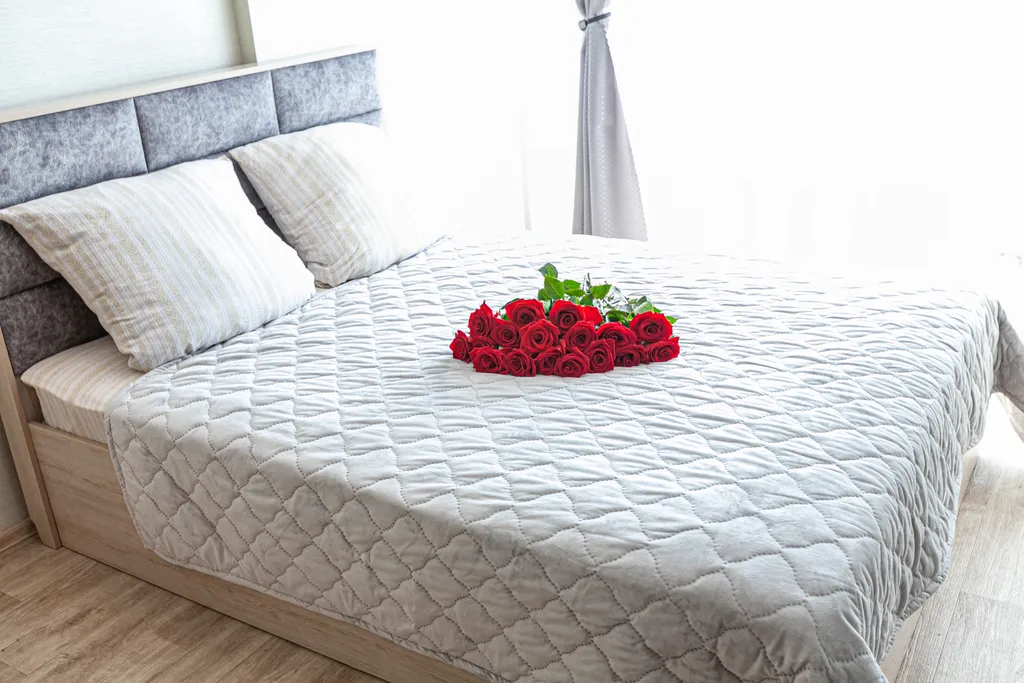 Уютная квартира в самом центре — аренда посуточно в Барнаул