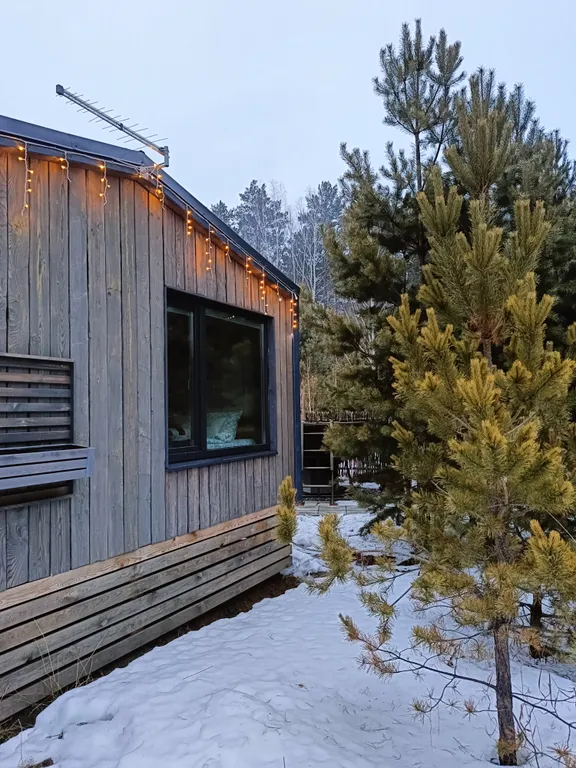 Темный домик на опушке леса