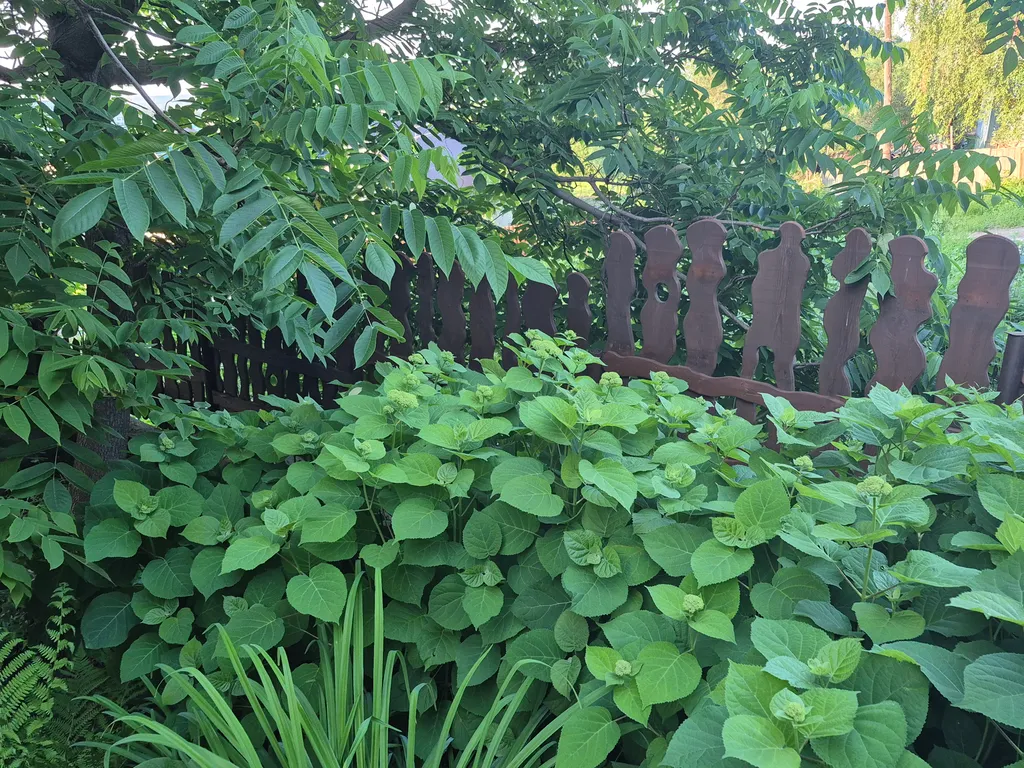 Гостевой дом на северном склоне