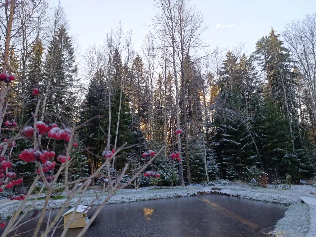 Дом с сауной у озера