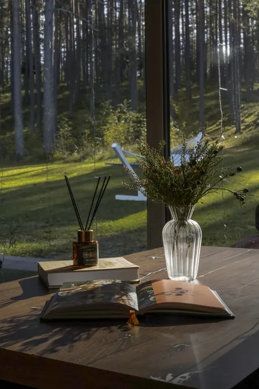 Коттедж Уютный коттедж на гряде Вярямянсельскя — Петяярви