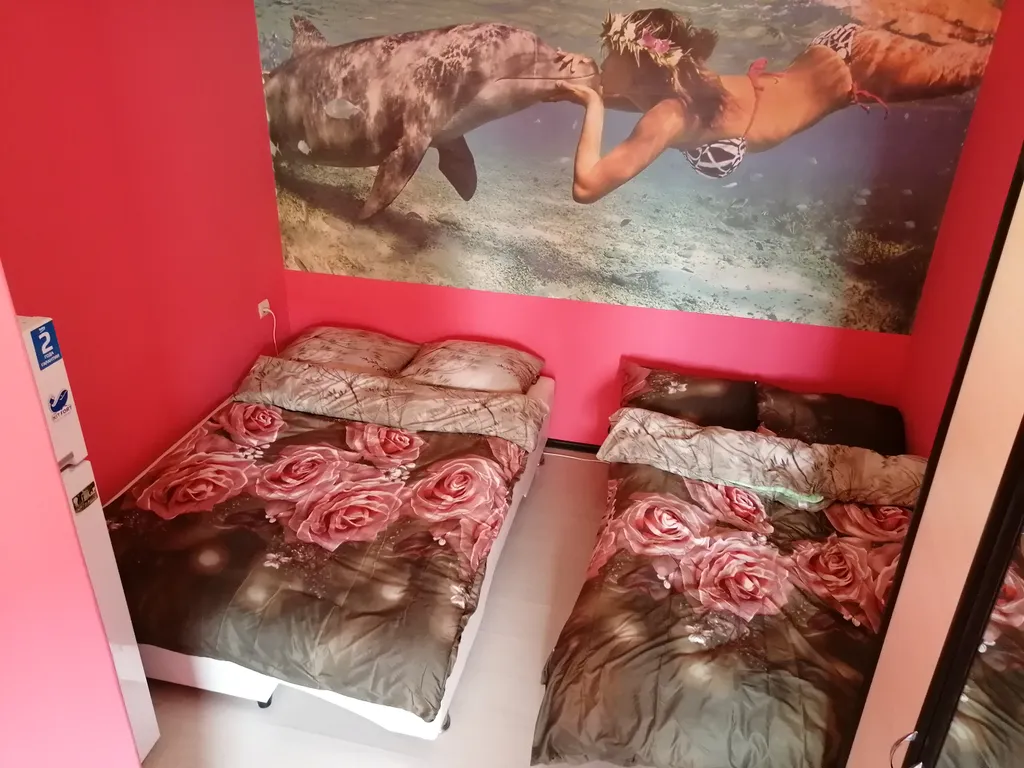 Студия у Олимпийского парка