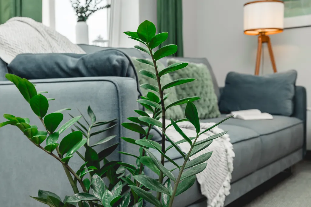 Коттедж Siesta Family House — Коккорево