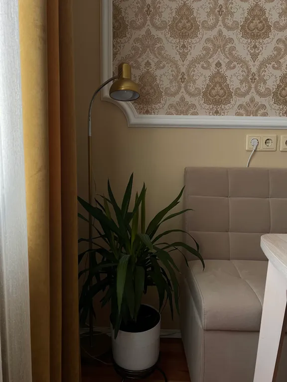 Квартира Уютная светлая квартира — Великий Новгород