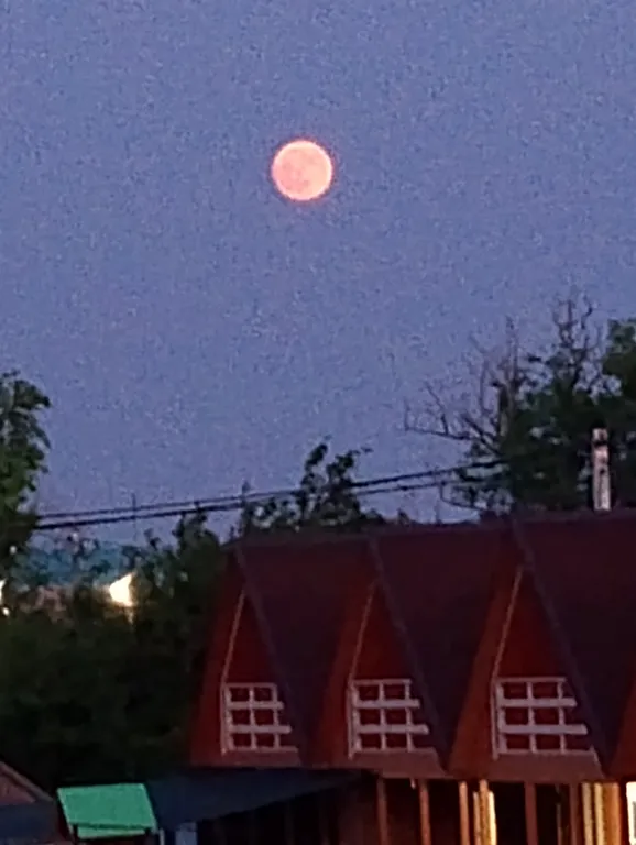 Квартира Квартира Солнечная студия на Азовском море — Кучугуры