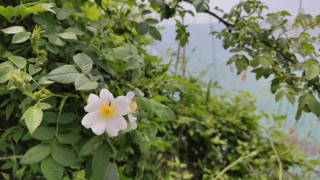 Дом вилла Надежда с видом на Владимирский собор, отдельный вход