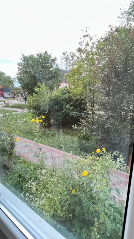 Квартира Уютная двухкомнатная квартира в центре города — Калининград