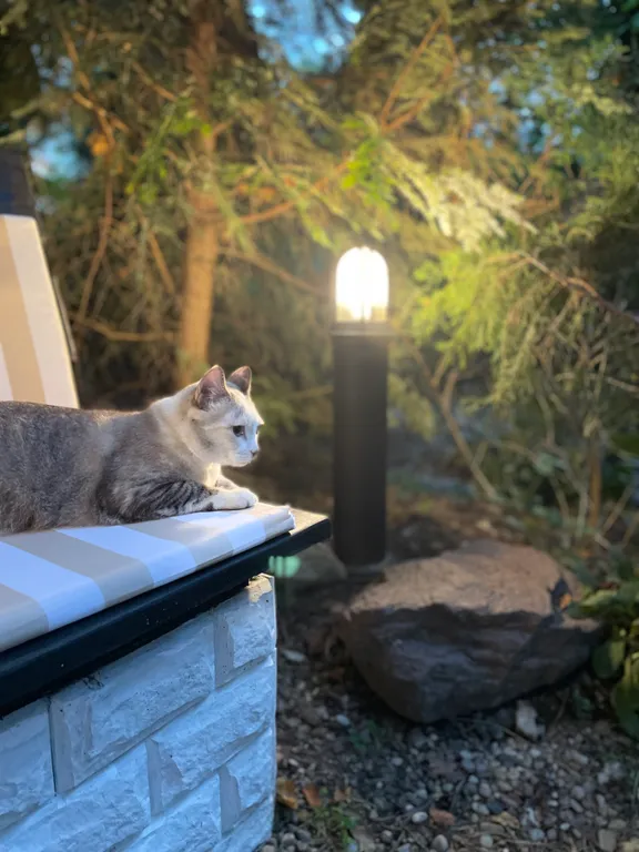 Двухуровневые апартаменты 33/3 house с камином и мангалом