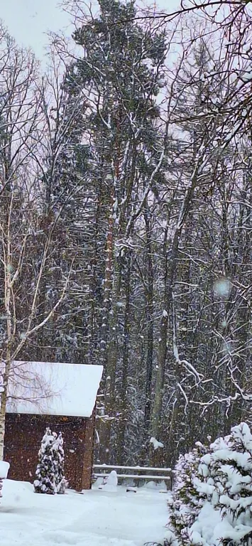 Домик в центре нац. парка Беловежская пуща