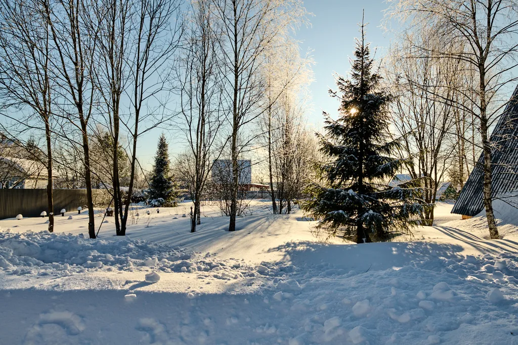 Афрейм дача у леса