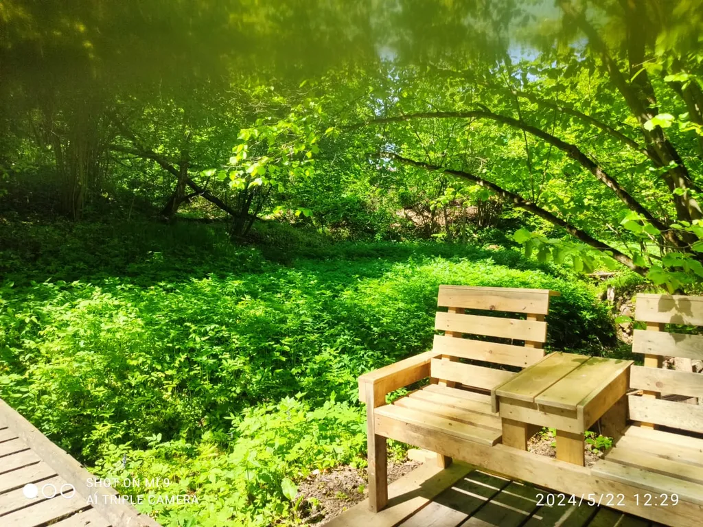 Стильный дом с лесной территорией, недалеко пруд с пляжем