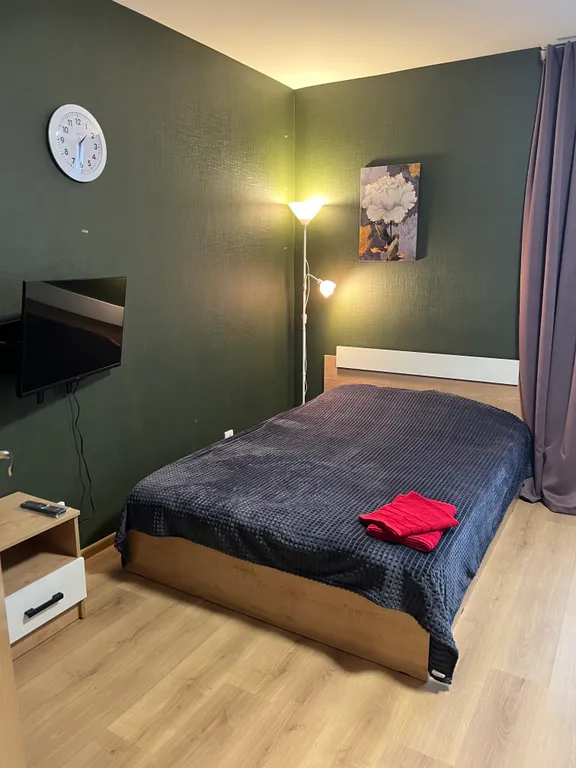 Квартира Квартира Уютная студия рядом с НИИ Петрова Гранова Напалкова — Песочный