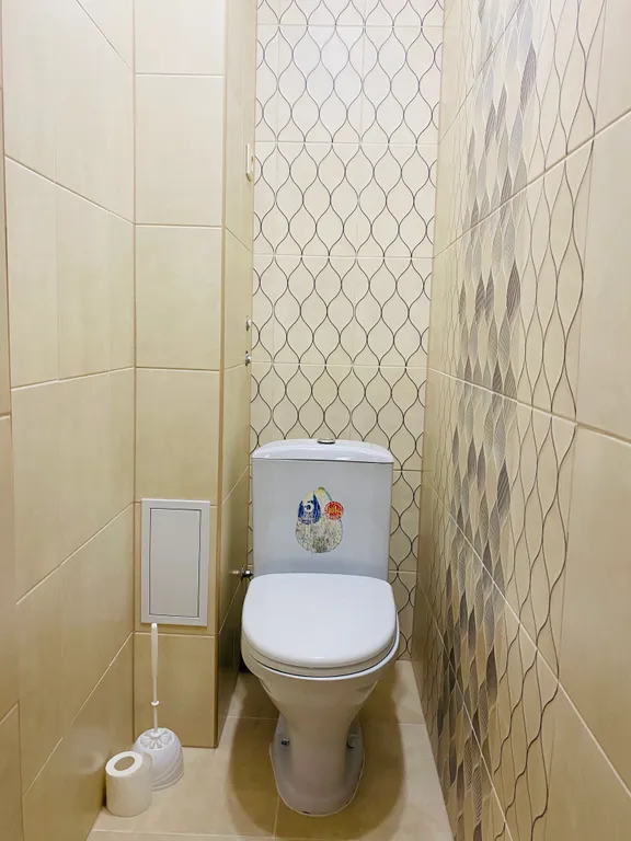 Большая однокомнатная квартира на Красной