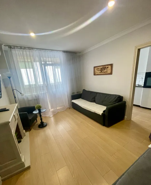 Уютная большая однокомнатная квартира евро двушка