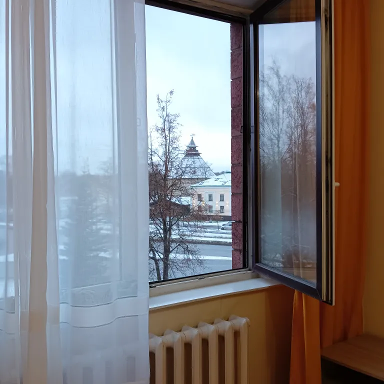 Квартира в центре города с видом на Покровскую башню и реку Великую