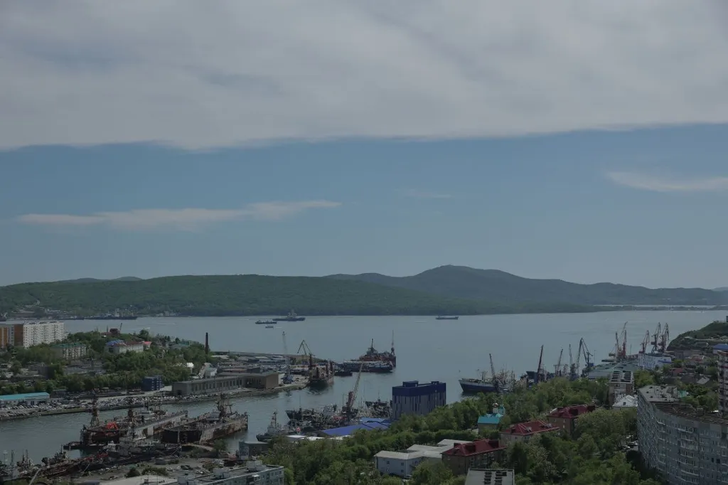 Квартира Современная, уютная квартира с видом на бухту Золотой Рог — Владивосток