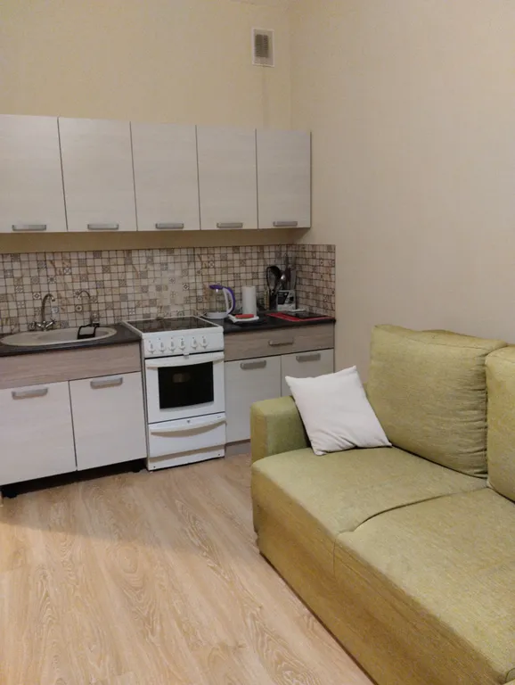 Квартира Уютная однокомнатная квартира рядом с НИИ Петрова — Песочный