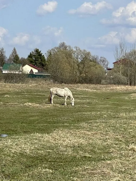 Коттедж 2-комнатный Дом — Шаховская
