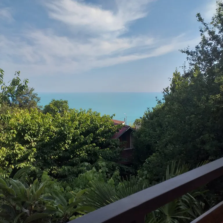 Уютный номер с видом на море