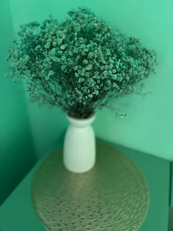 Квартира Квартира 4 сезона — Махачкала