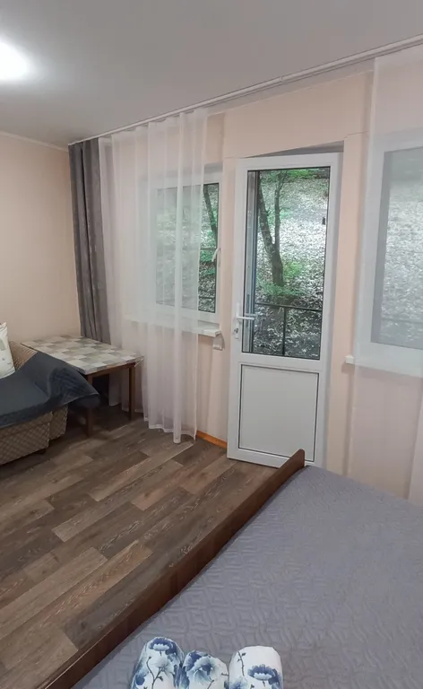 Двухместный эконом +1