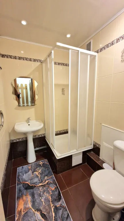 Однушка возле цирка