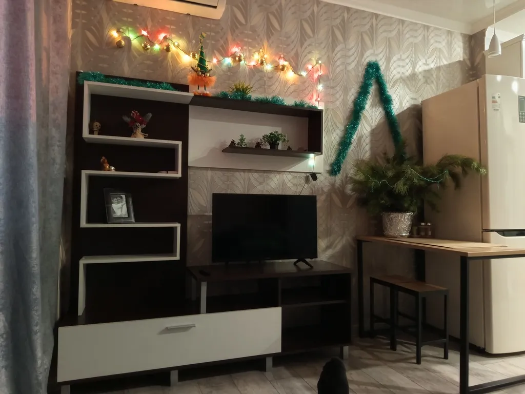 Современная квартира в центре города судобствами