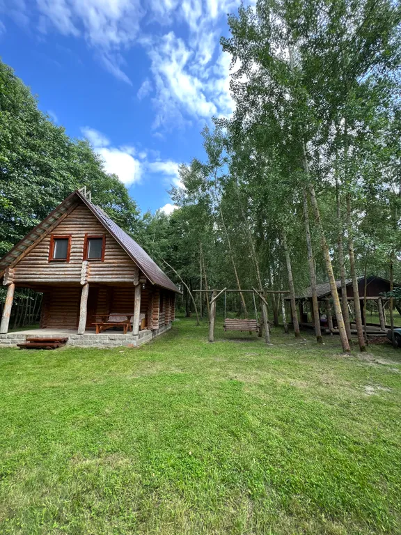 Деревянный дом в лесу рядом с рекой