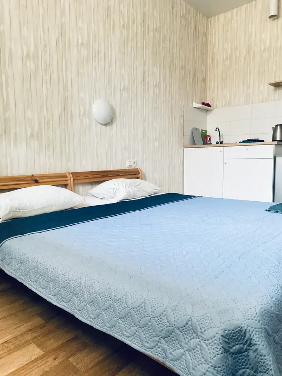 Уютная студия на ФМР