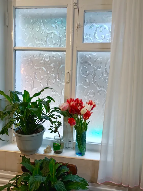 Квартира в центре