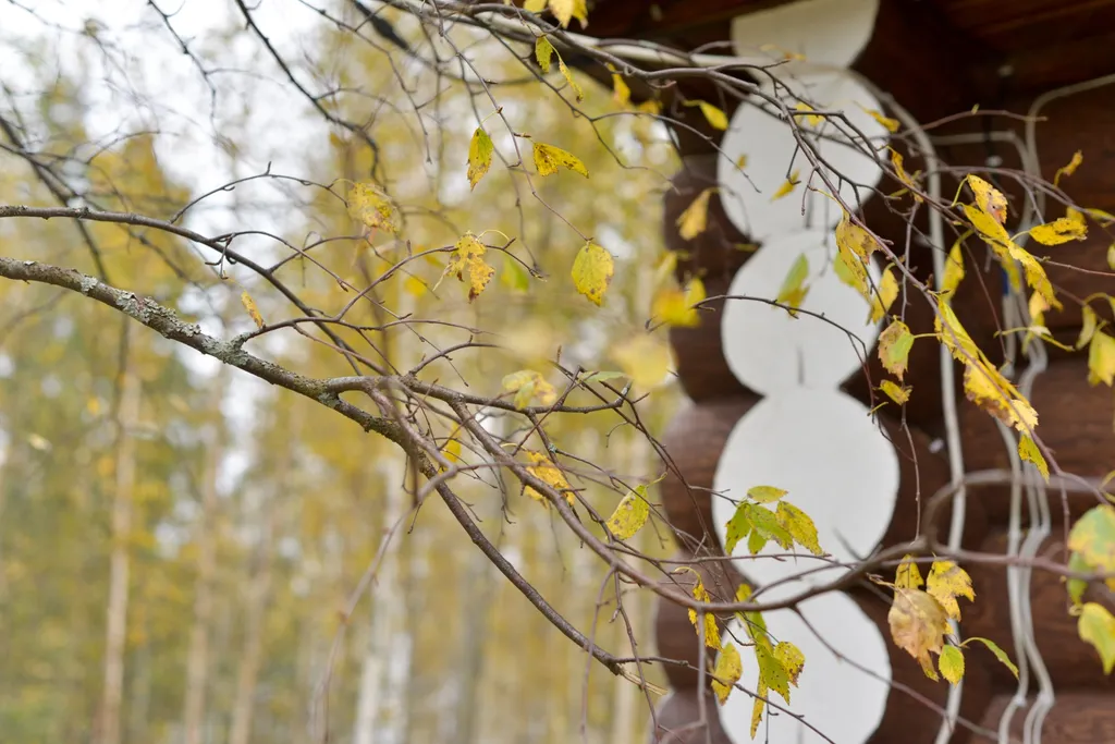 Уютное Шале на берегу озера Селигер