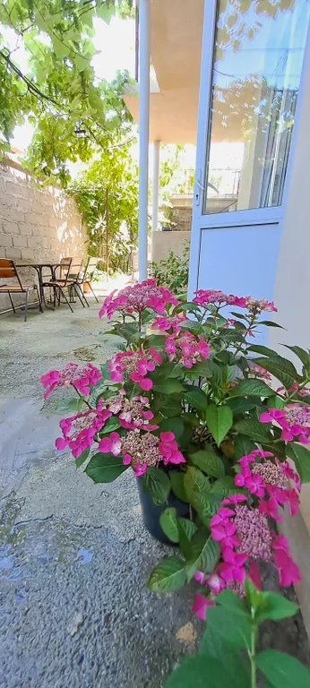 Дом для большой компании в 300 м. от моря