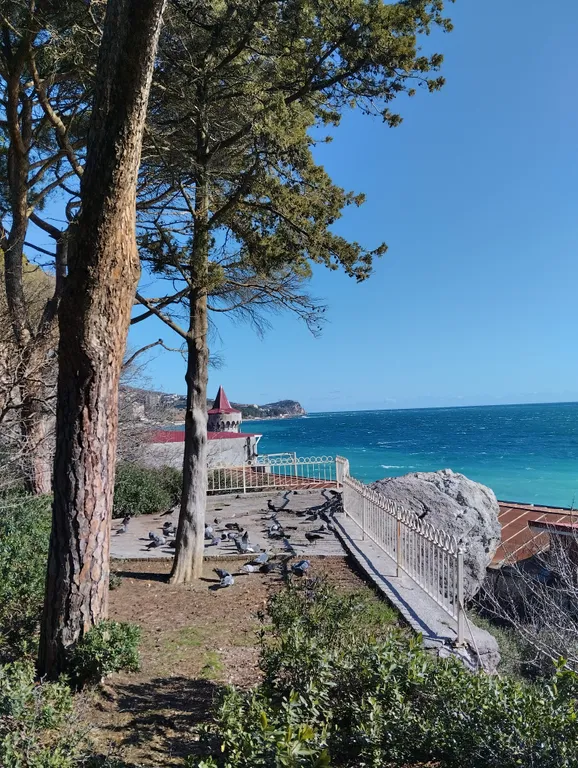 Студия для Вас, в живописном поселке Кореиз (Мисхор)