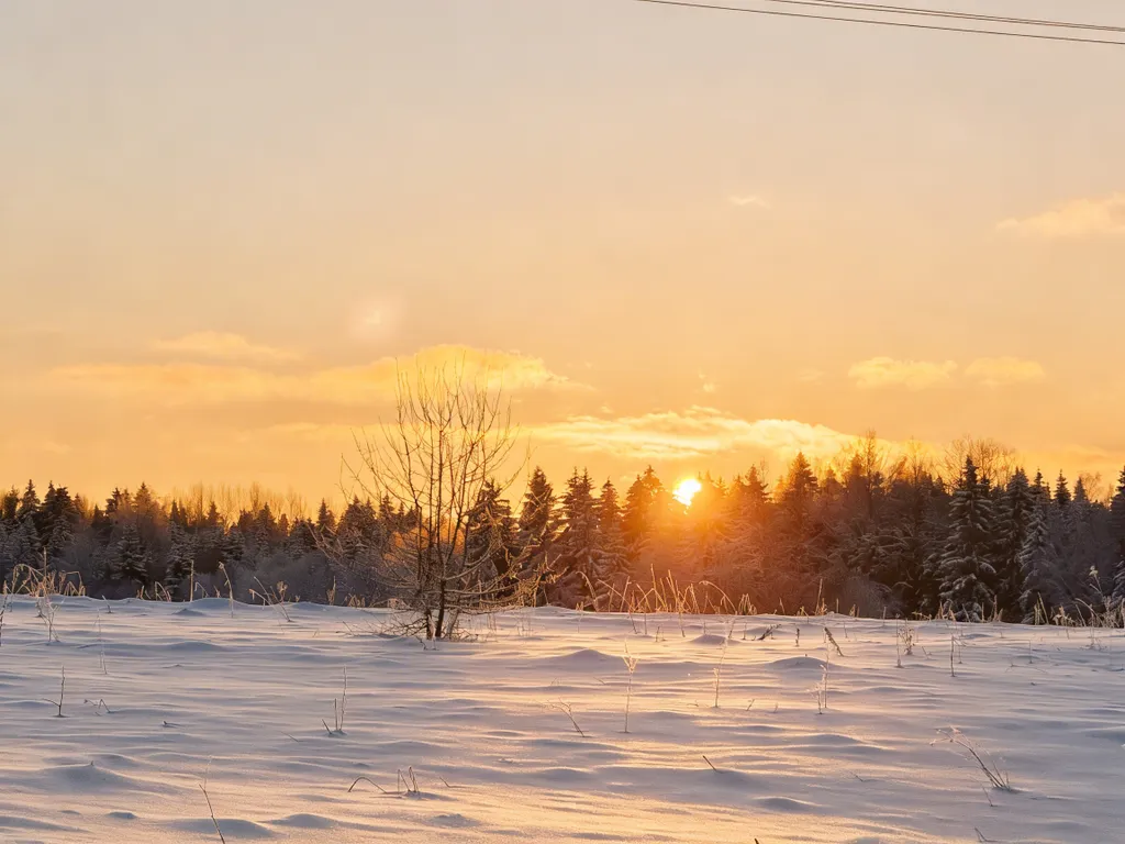 Коттедж Уютный домик — Ломоносов
