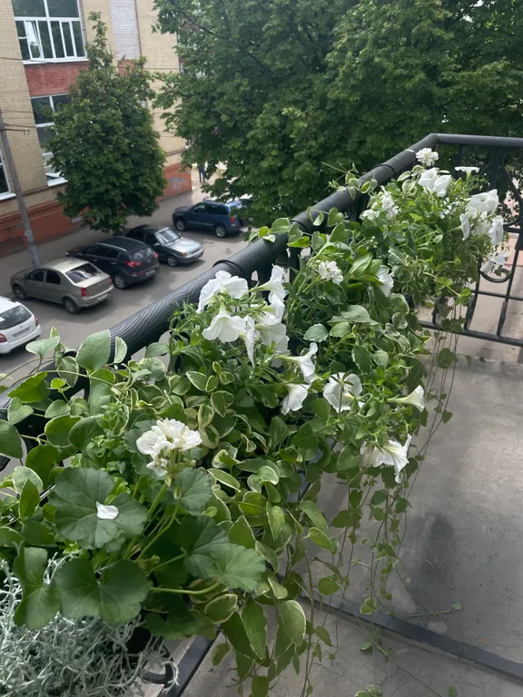 Уютная квартира для сборов невест