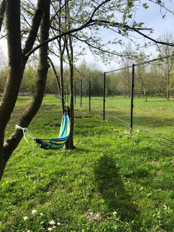 Домик у леса