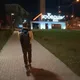 Альберт