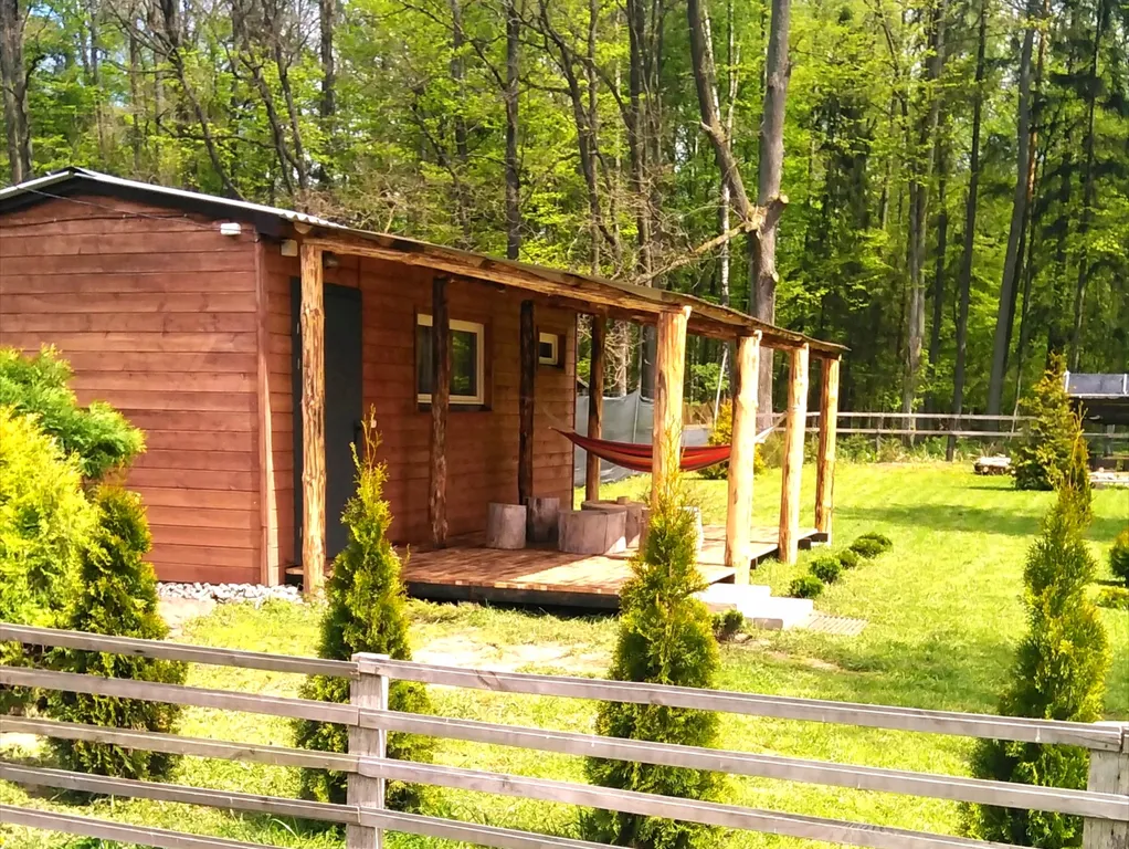 Коттедж Домик в центре парка Беловежская пуща — аренда посуточно в Каменюки