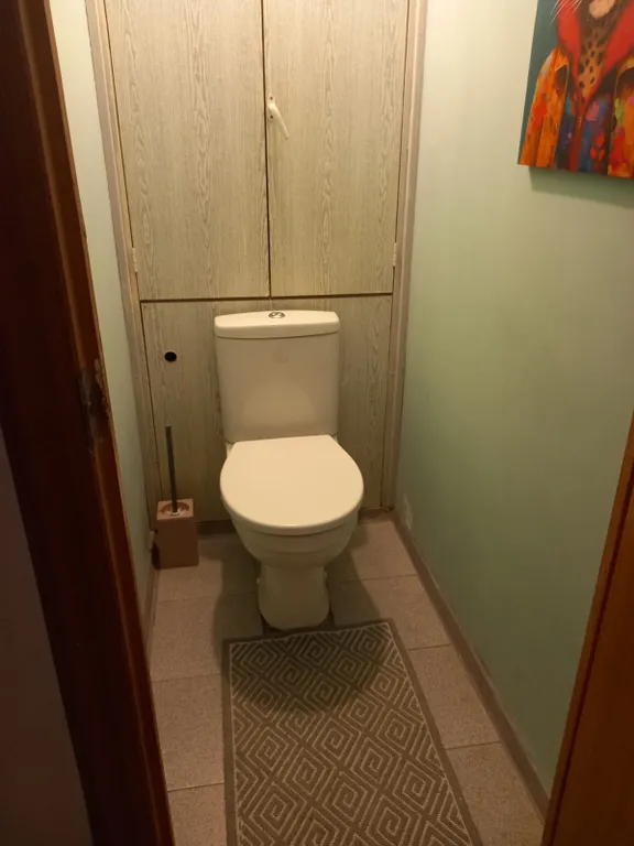 Квартира Уютная однокомнатная квартира в Катюшках, рядом с Шереметьево — Лобня