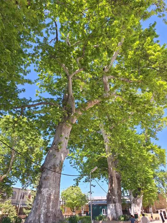 Гостевой дом старый город